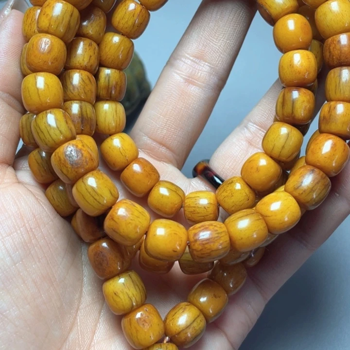 大果紫檀（缅甸花梨）