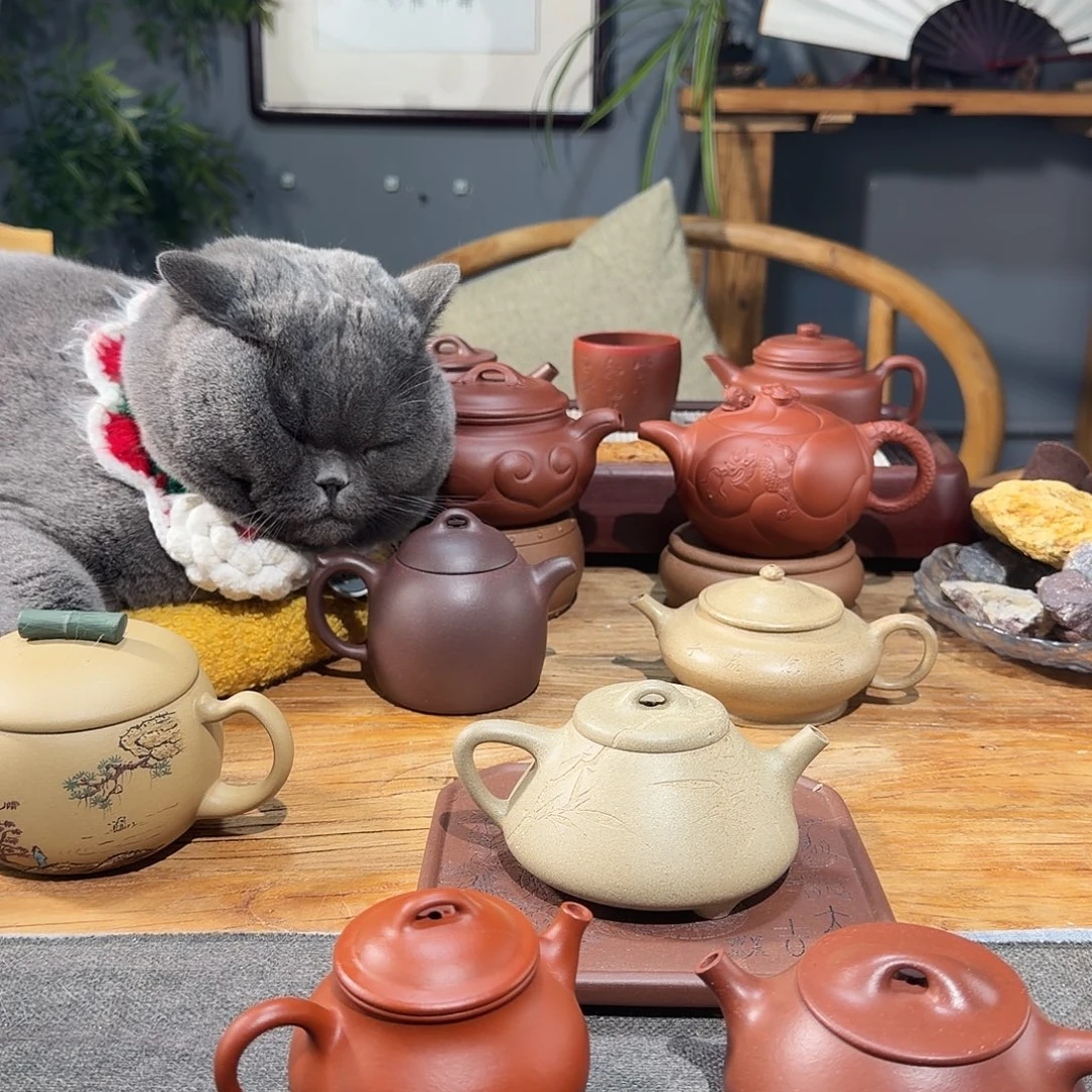 紫砂笋干运费付款