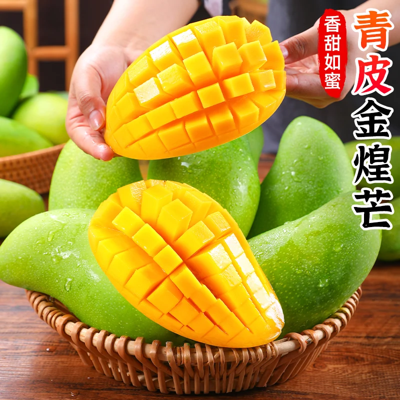 【个大肉厚】青皮金煌芒2.5-9斤青皮芒果水果产地直发香甜大芒果