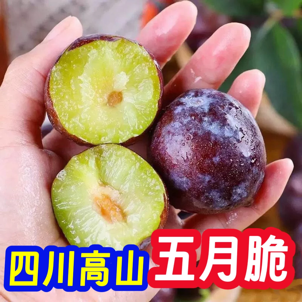 【果王超大果】正宗五月脆脱骨新鲜水果蜂糖李子清脆整箱包邮