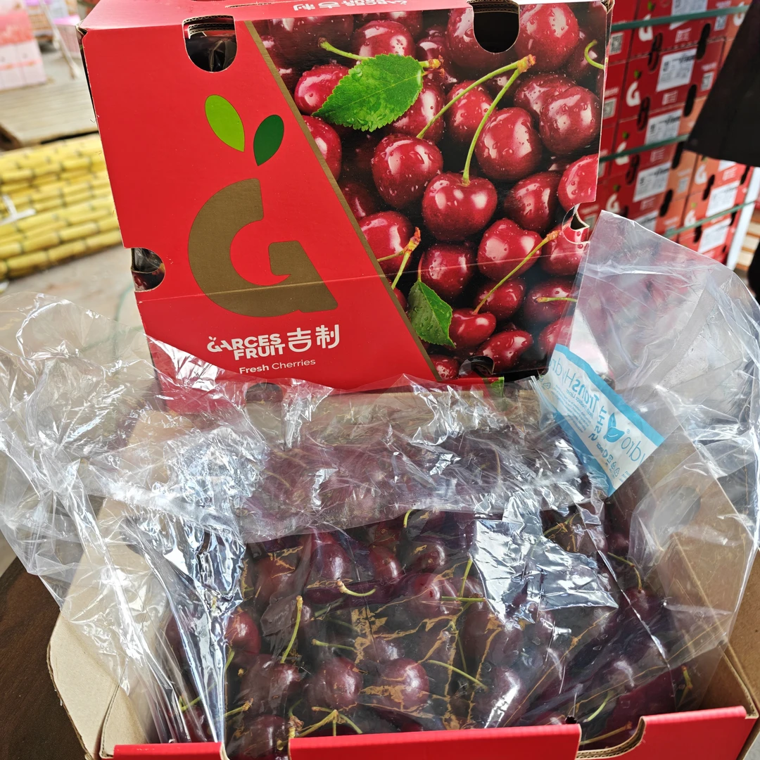 桑提娜4JDD三藩市大G智利空运进口车厘子 净重1-5斤 内附果径卡