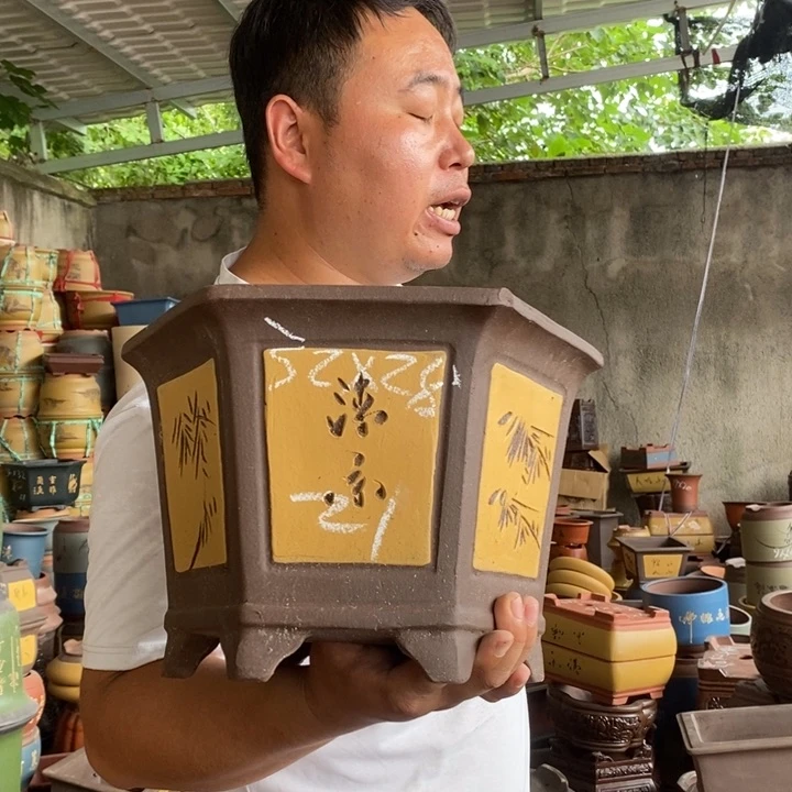 紫砂花盆盆栽花卉苗木