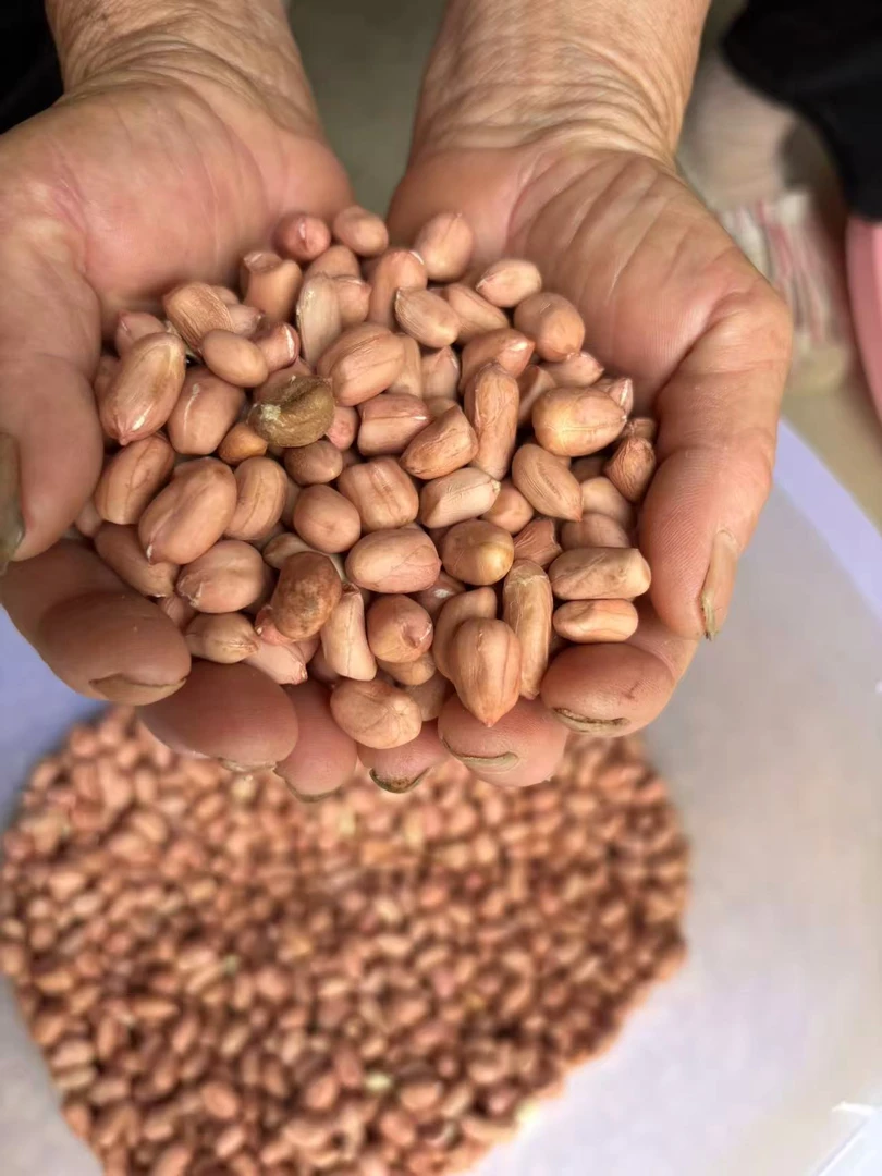 农家花生米 可炒可炸