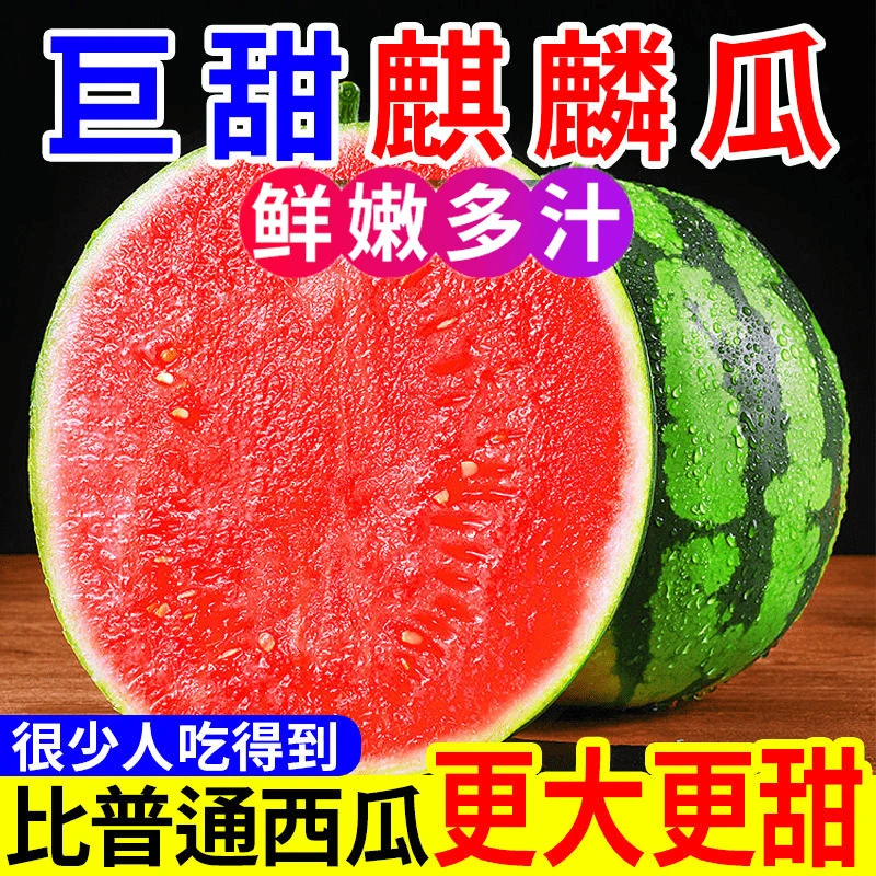 海南鲜甜多汁大果超甜无籽麒麟西瓜水果整箱应当季西瓜新鲜瓜云南