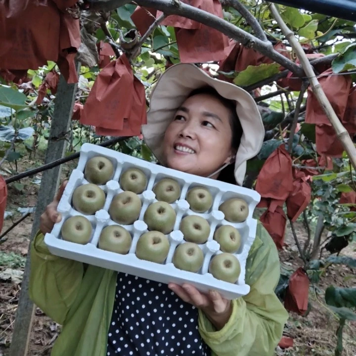 四川苍溪红心猕猴桃奇异果当季新鲜水果香甜可口