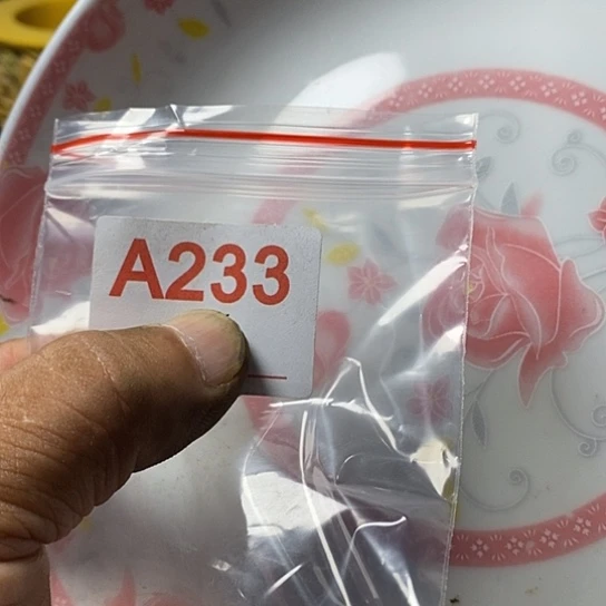 时***a瓷片我想知道为什么要