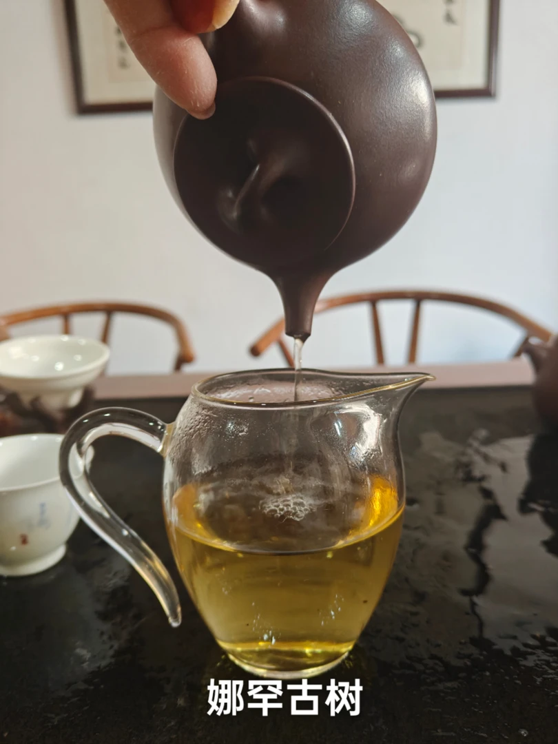 娜罕古树生茶(8克龙株)花果香