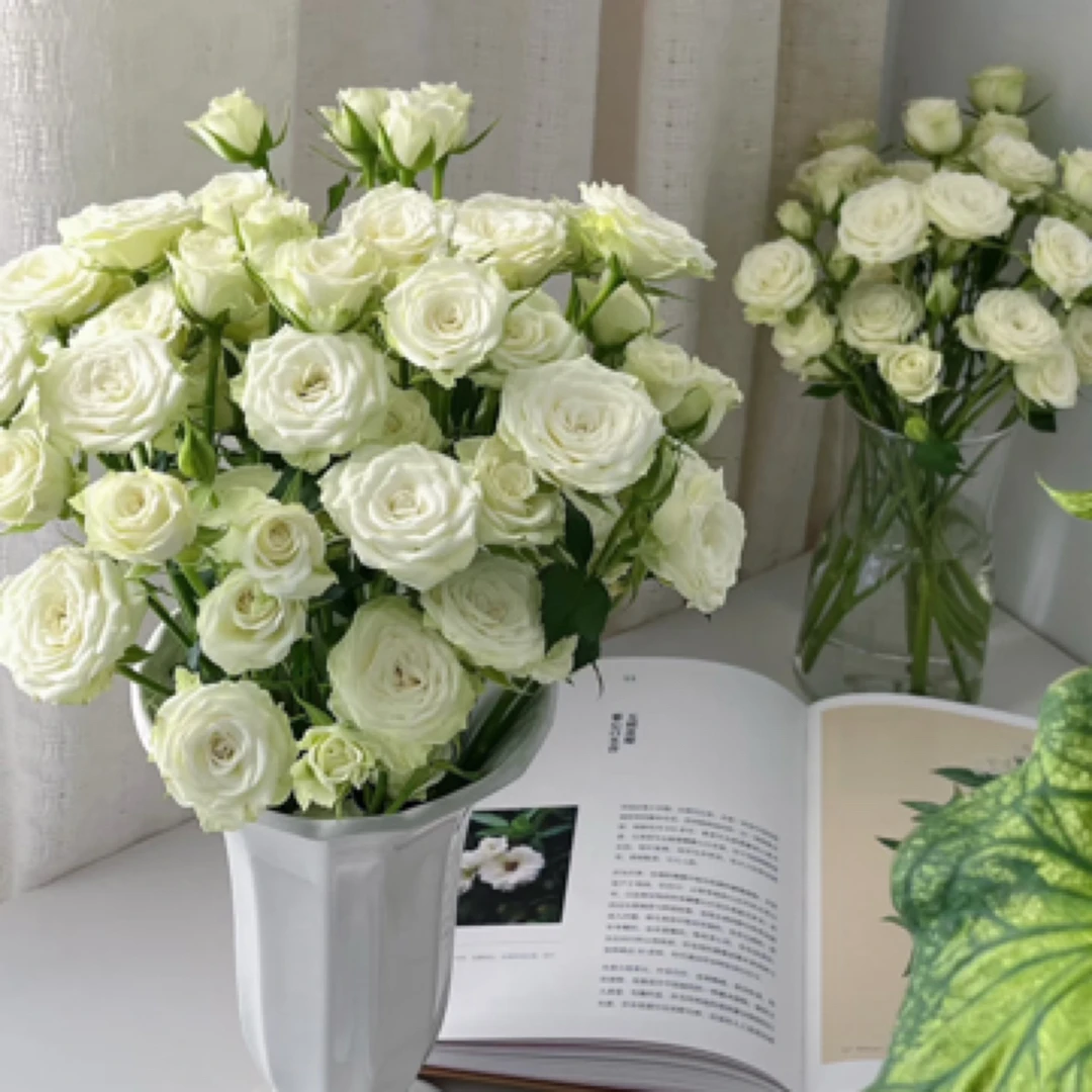 【锦上花舍】多头玫瑰繁星一单顺丰包邮/偏远地区德邦空运