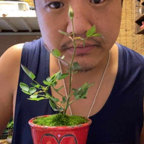 红陶茶*一物一拍所见即所得157