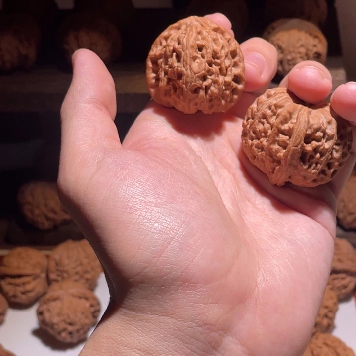 ***文玩核桃把件39全品白狮子