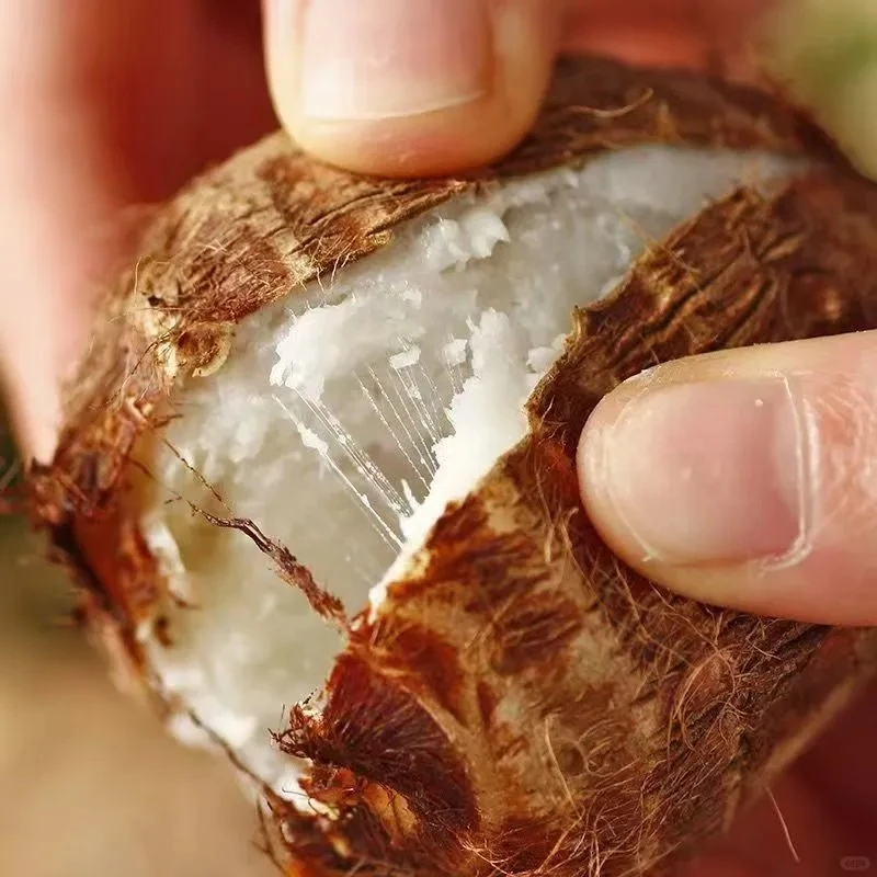 现挖新货正宗山东牛奶小芋头新鲜现挖毛芋头奶油芋艿鲜蔬菜芋头