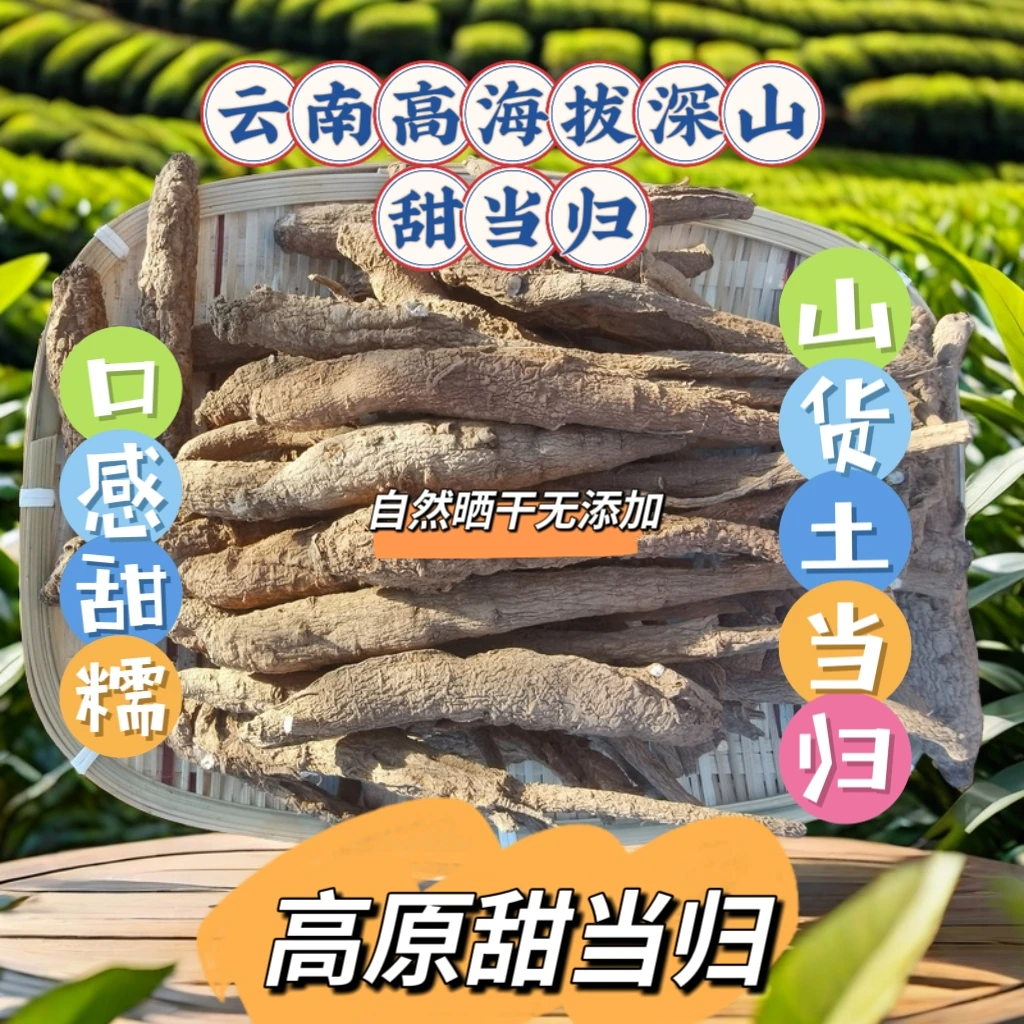 【现收山货】云南高原甜当归深山土当归自然晒干无添加农家精选品质