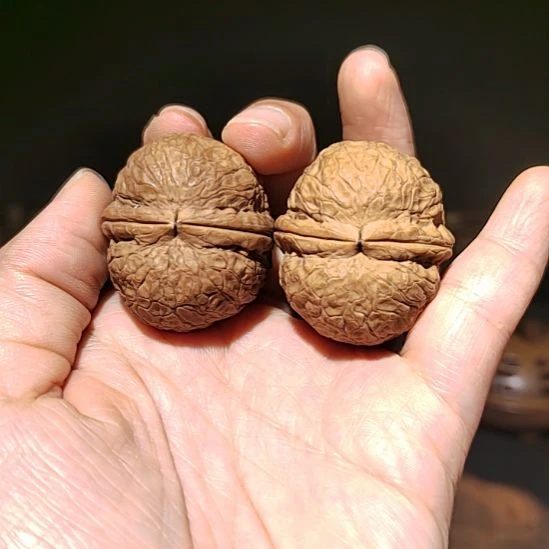 把件文玩核桃福利蛇皮带彩粗筋