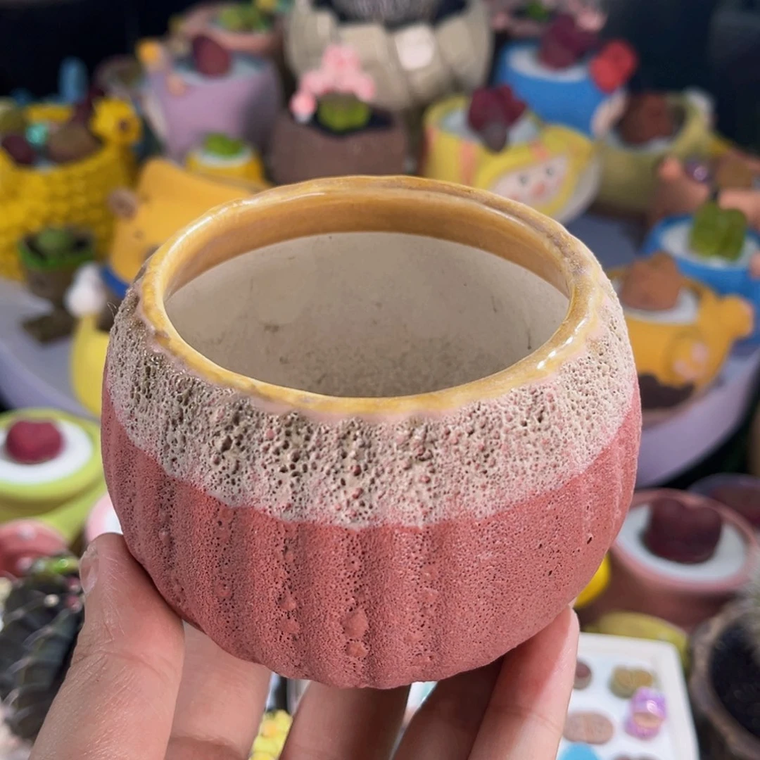 099连盆带土包邮