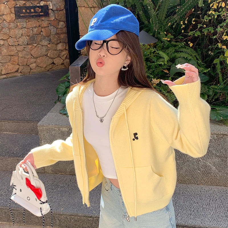 秋冬连帽拉链针织衫女显瘦休闲百搭毛衣短款小外套韩版开衫上衣
