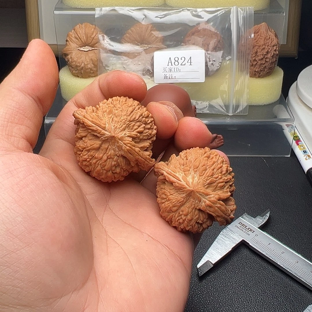 A824满天星44尺全品