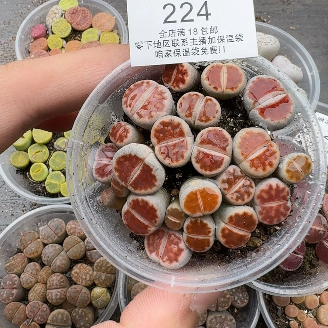 224满18包邮保温袋联系客服