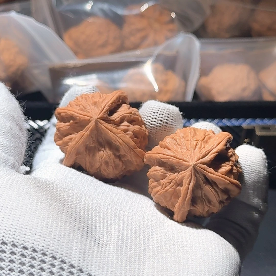 文玩核桃把件文玩核桃，四棱野生核桃，福利款