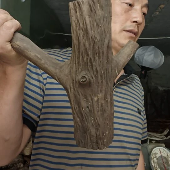 稳定木避****）高山 檬子木文玩料
