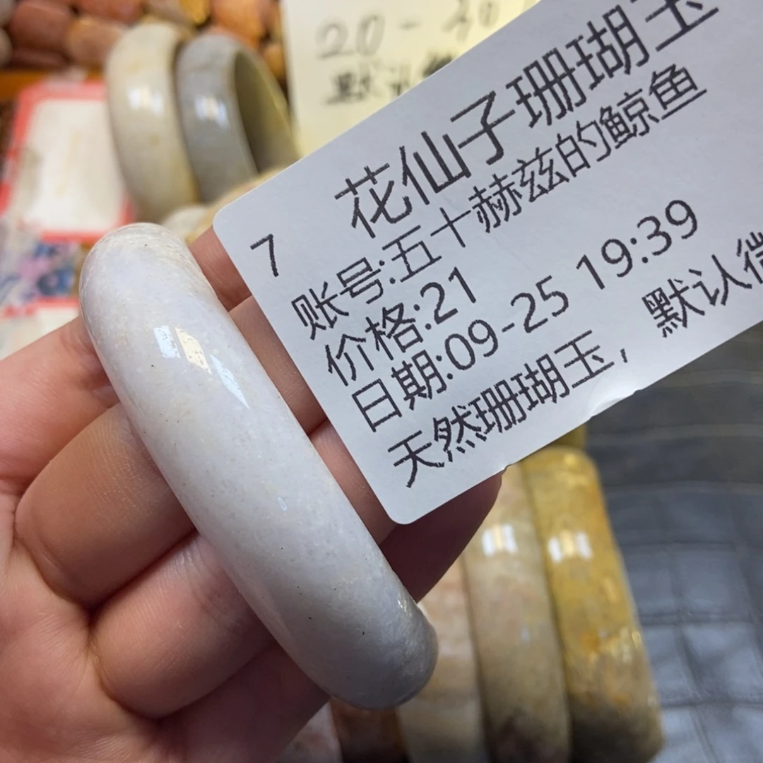 五***鱼硅化珊瑚（珊瑚玉）未镶嵌珠宝半成品7