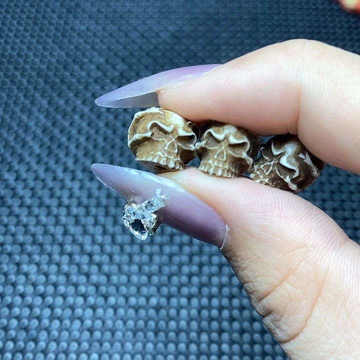 其他驼骨其他配饰