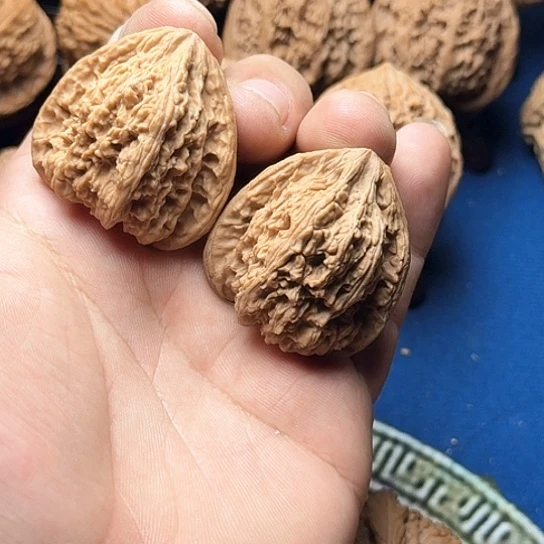 38全品无修三角密纹