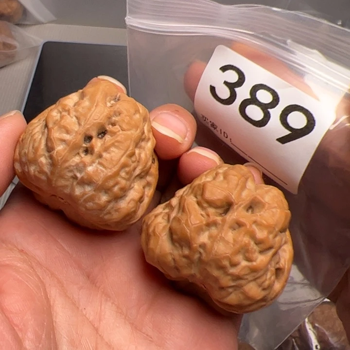 核桃39边41肚389号蛙