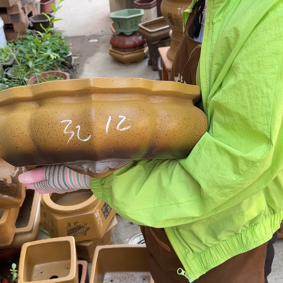 紫砂花盆盆景艺术