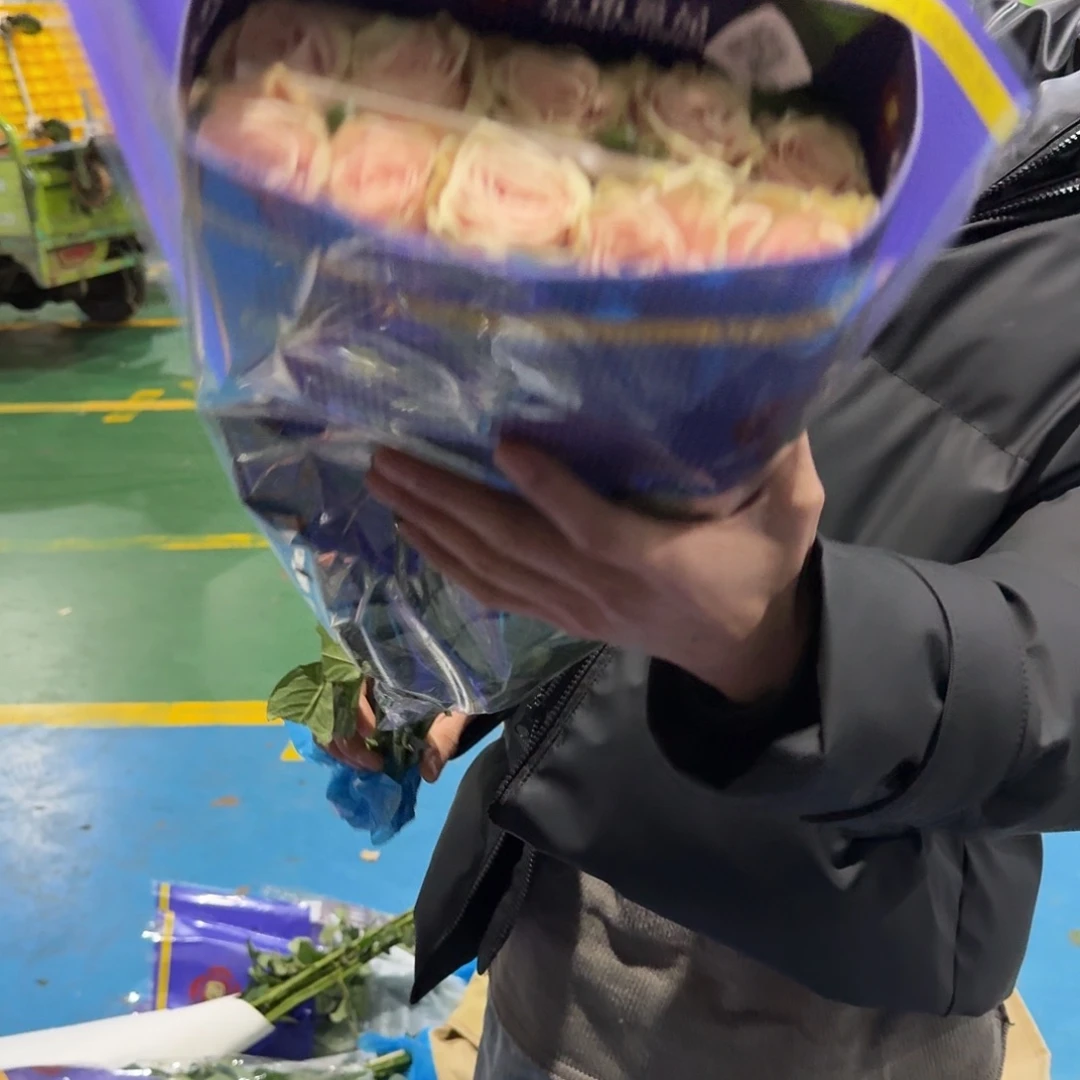 蔷品稀有单头粉蒙迪欧10支