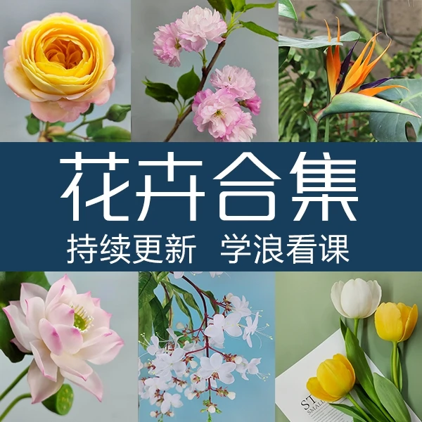 粘土手工花卉大合集