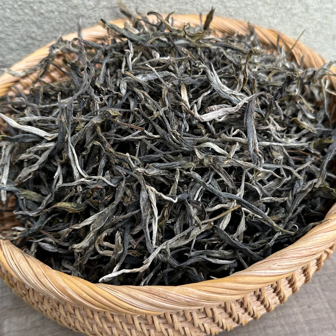 老班章153号2025年头春古树 混采 大树 乔木【具体规格按链接所示】