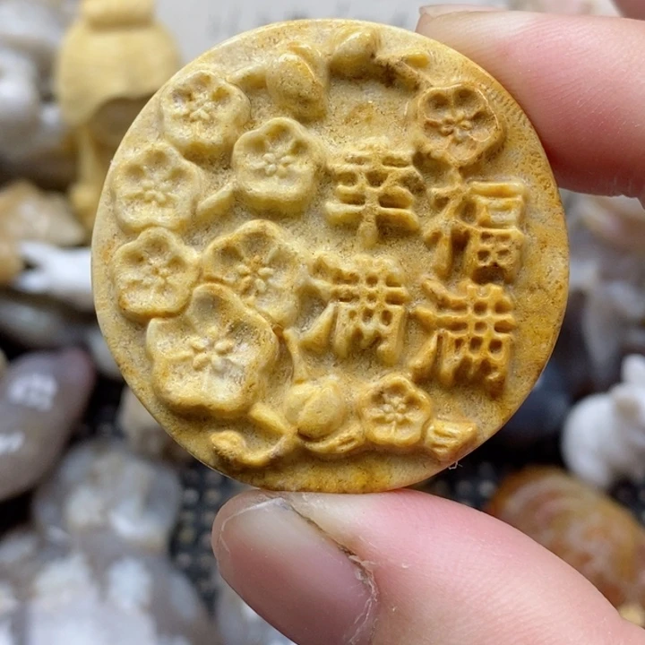 颈饰未镶嵌硅化珊瑚（珊瑚玉）