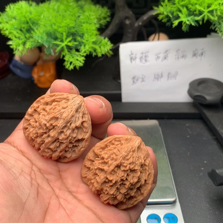 吊坠文玩核桃41满天星