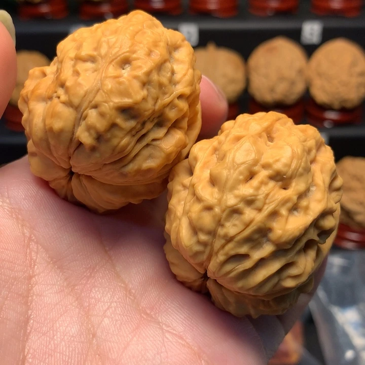 文玩核桃把件鬼谷疙瘩包46尺寸