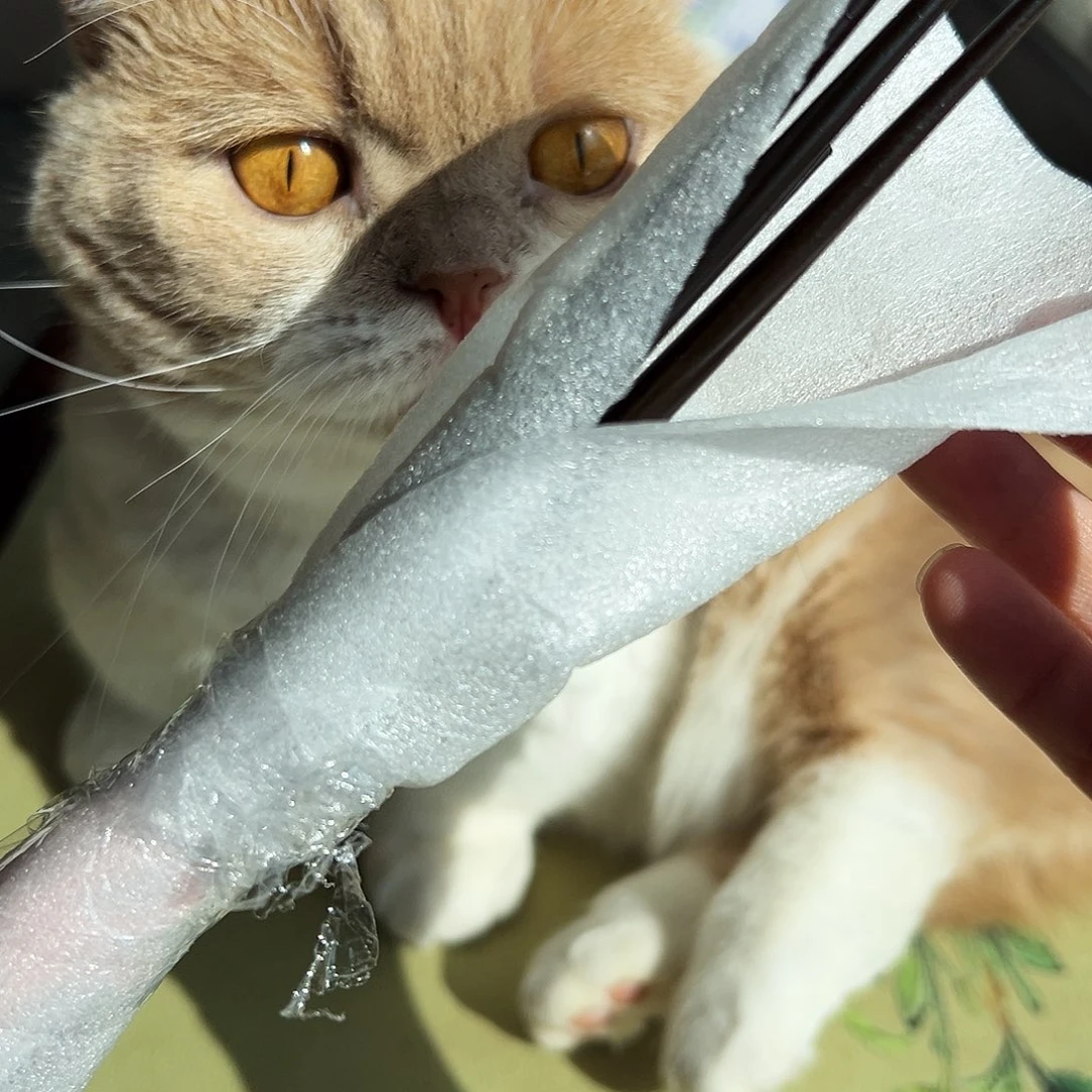 咖啡杯水杯杯子茶杯茶壶