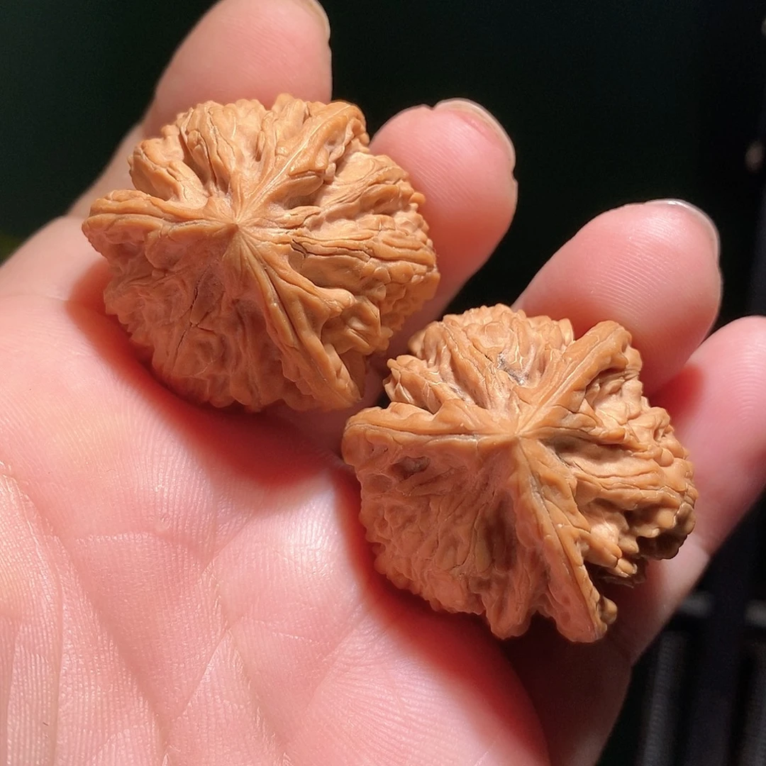 把件文玩核桃36文山三棱