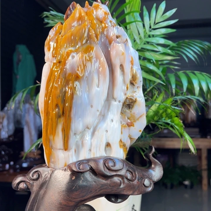 硅化玉（树化玉）未镶嵌珠宝奇石