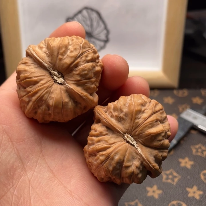 核桃南瓜墩文玩核桃