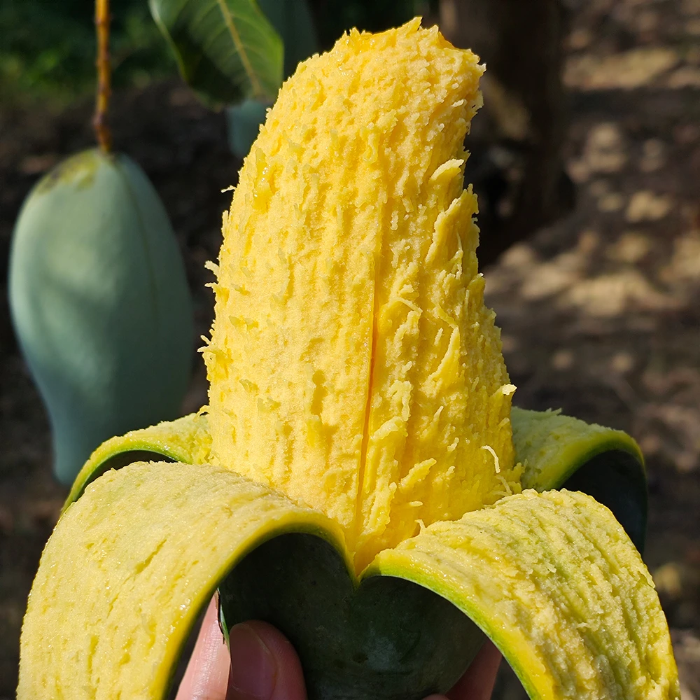 活动]越南大青芒当季新鲜水果青皮非金煌芒大芒果可生吃