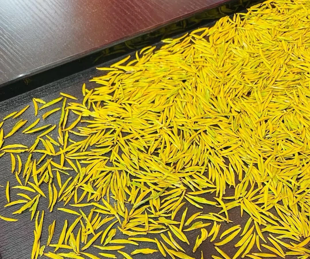 2025明前奶白黄金芽支持试喝