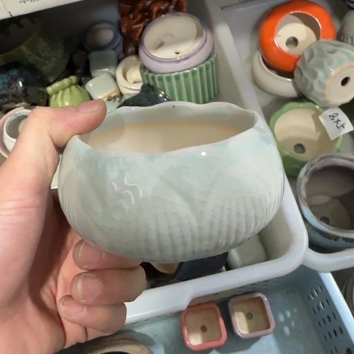 青色，青色《所有单满15发（花盆）》8×5