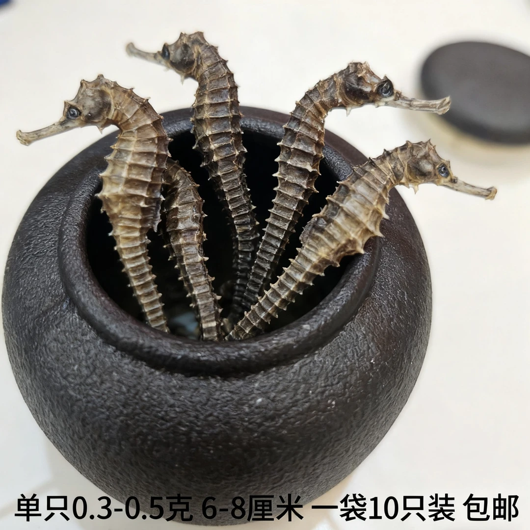 海马干货用于泡酒煲汤磨粉保正品证件齐全