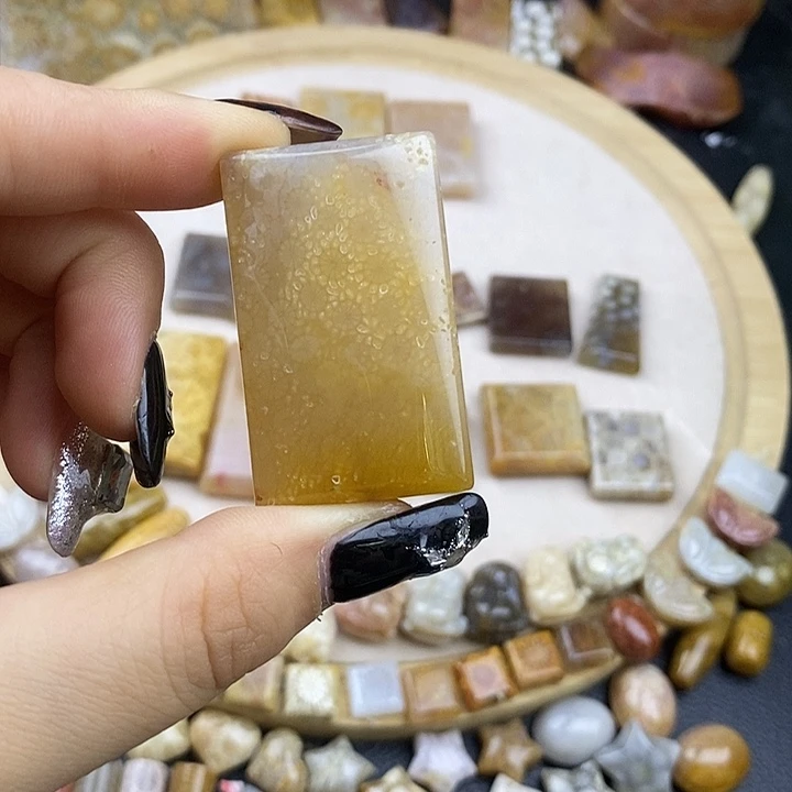 硅化玉未镶嵌颈饰