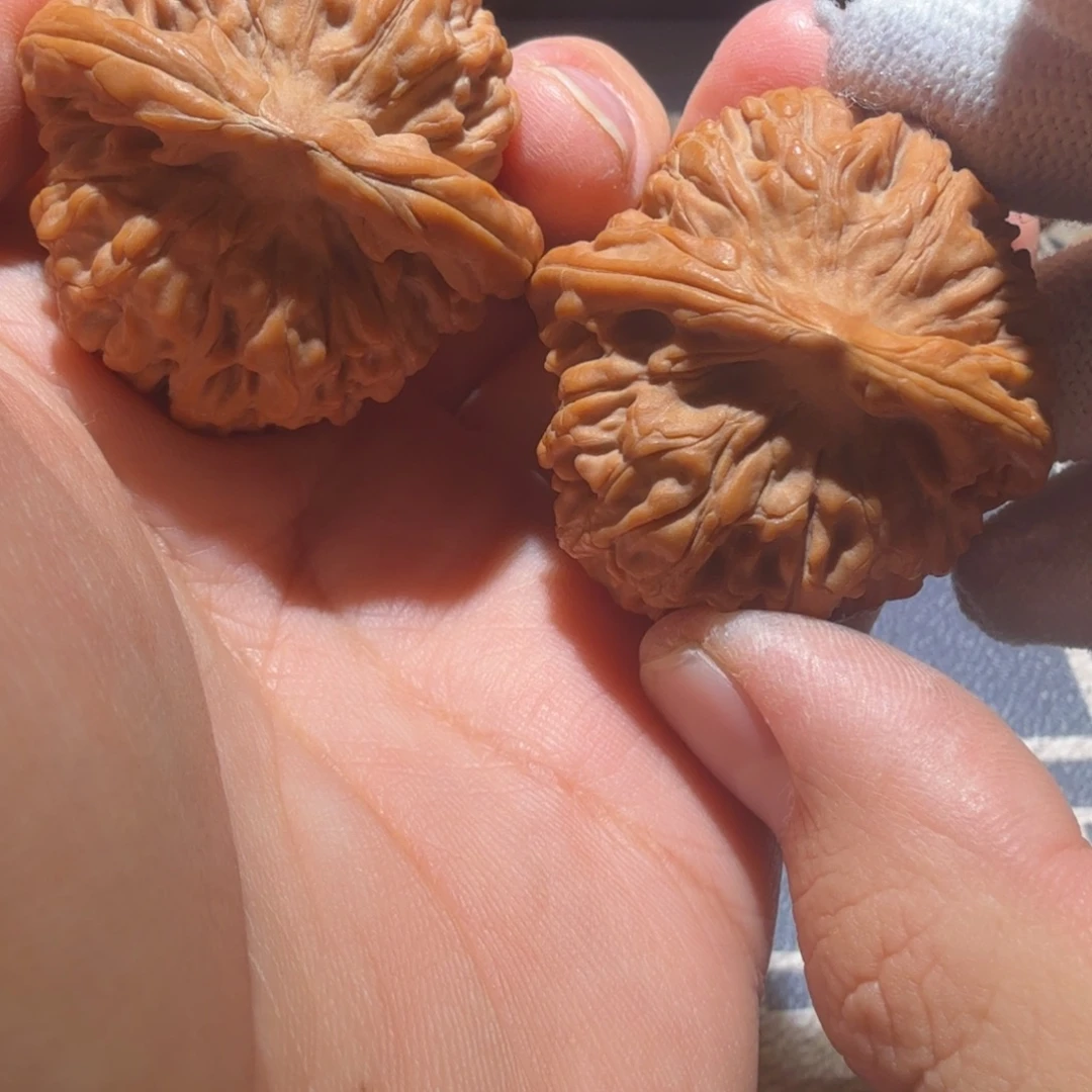 文玩核桃把件莲花