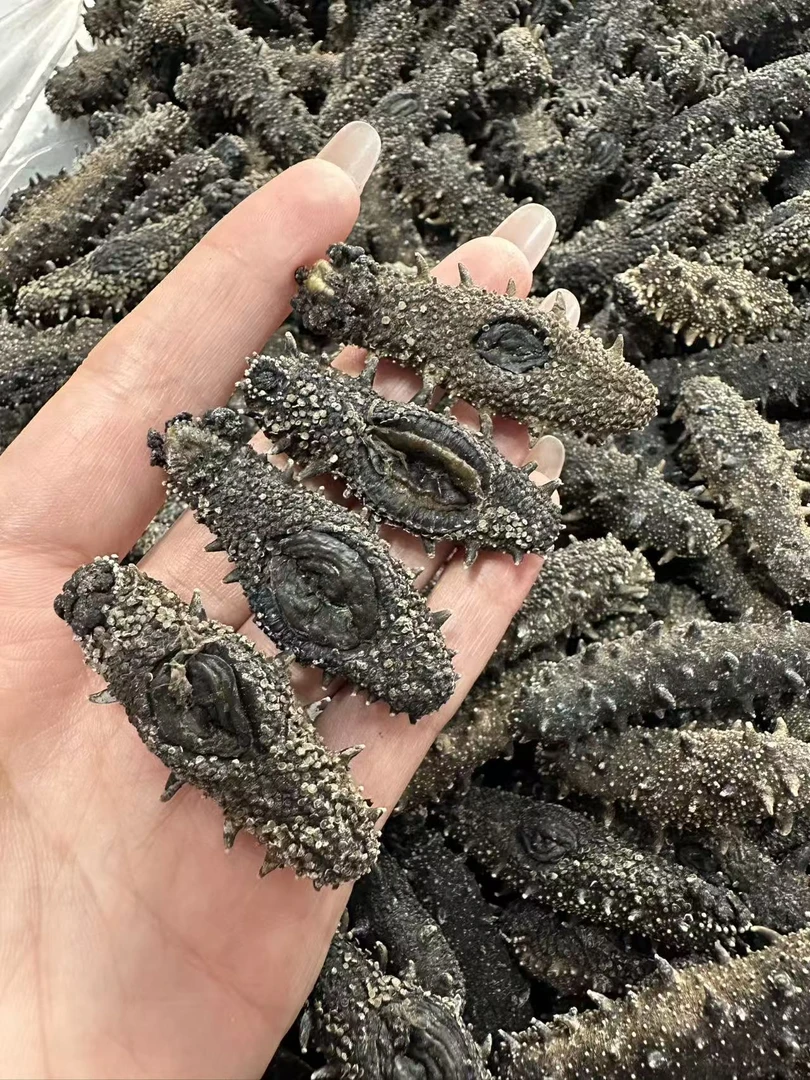 大连瓦房店国标纯淡干海参  泡发14倍往上   70/80左右头/500g