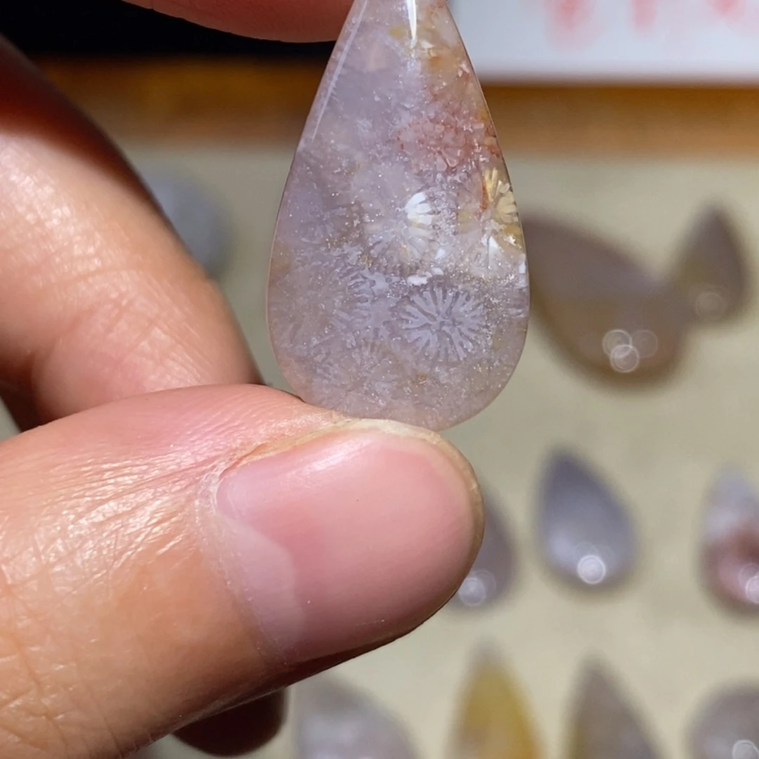 【闪购商品】硅化玉珊瑚玉未镶嵌