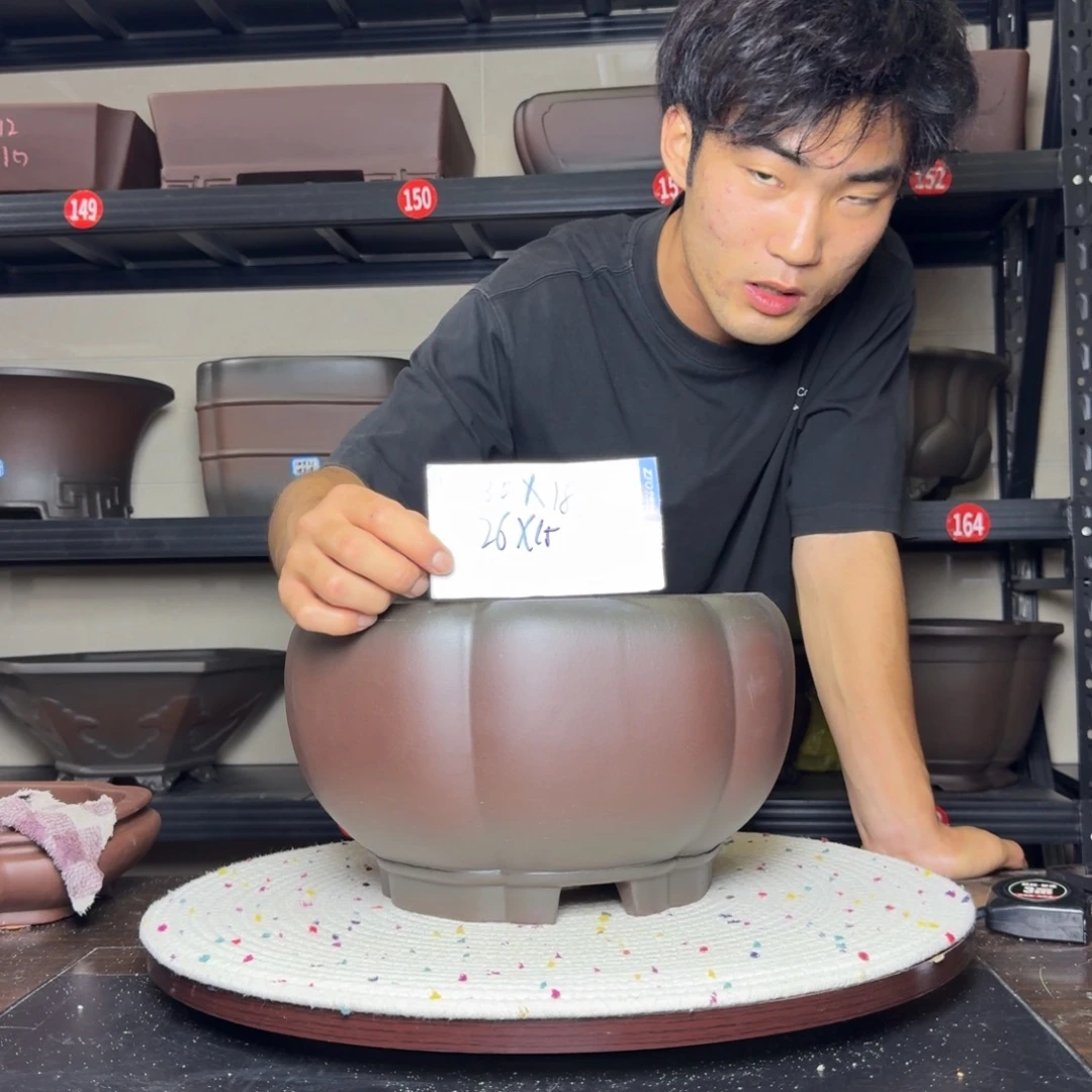 紫砂其他呜呜呜呜