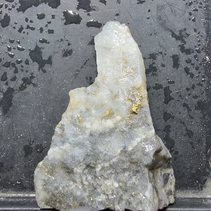 光3.1g聚金阁天然明金矿标