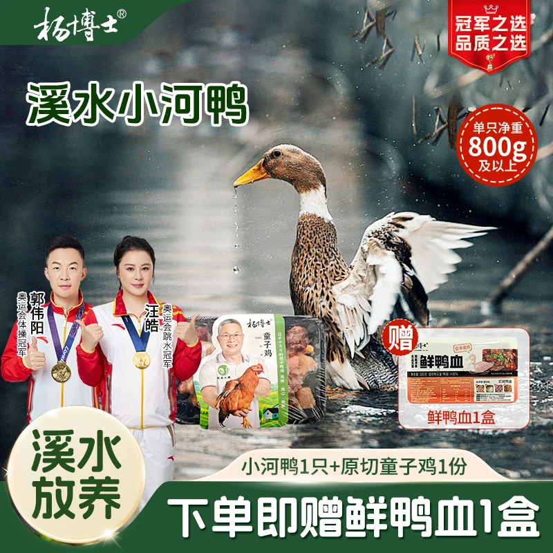 【溪水小河鸭送原切童子鸡】杨博士溪水放养小河鸭土鸭子新鲜现杀
