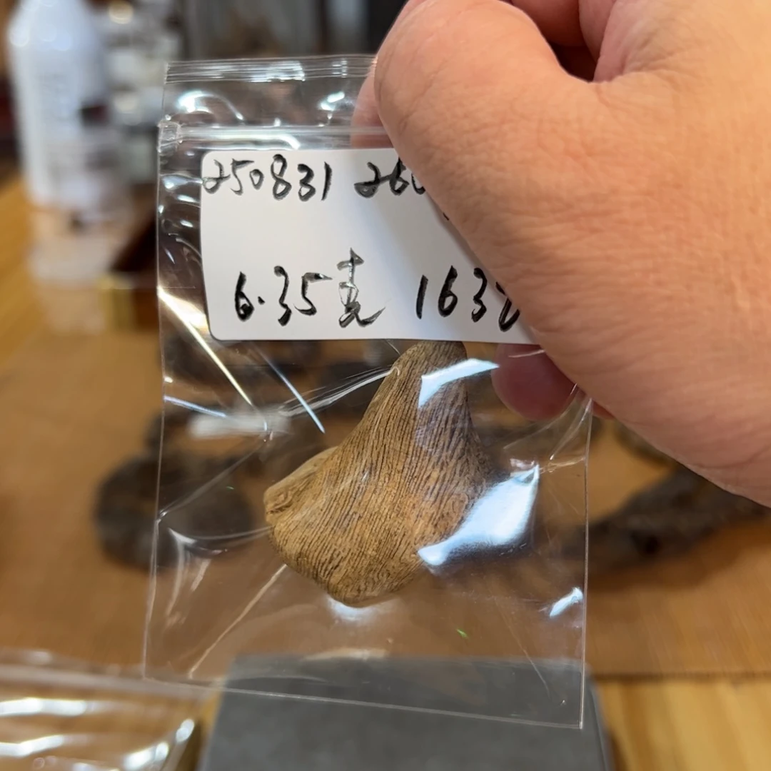 木伍 250831 260款普撒 重约6.35